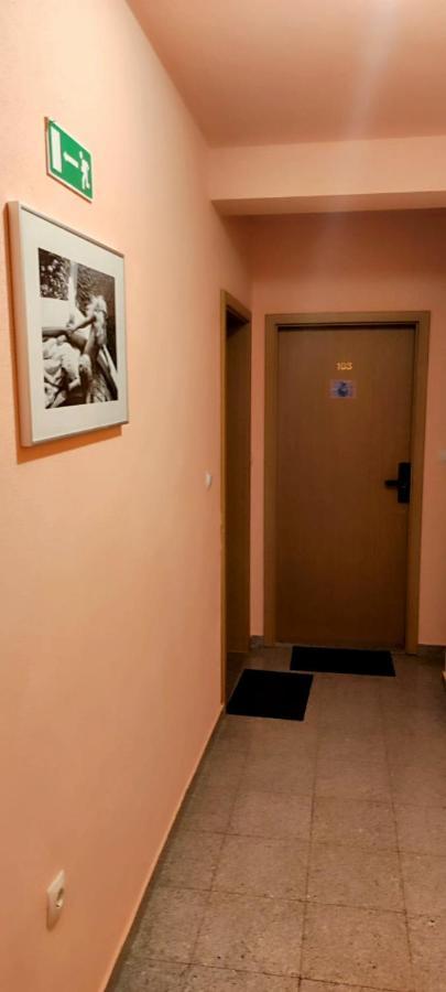 Villa Dm Baška Voda Buitenkant foto